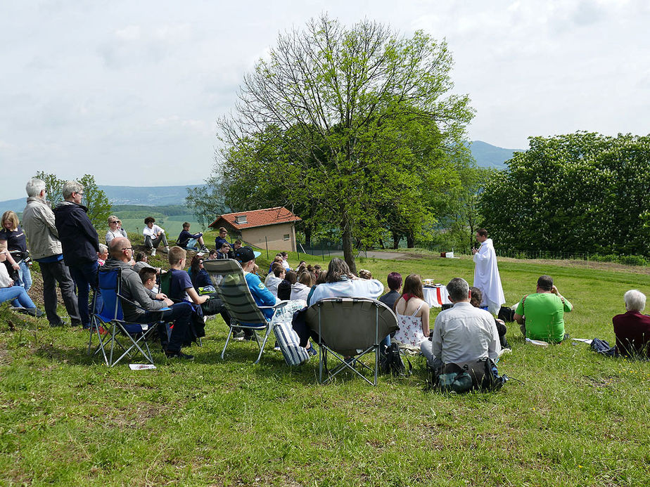 72 Stunden Aktion – auf dem Hasunger Berg (Foto: Karl-Franz Thiede)